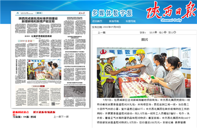 KU酷游官网西北集团珑樾府项目高温慰问——《陕西日报》